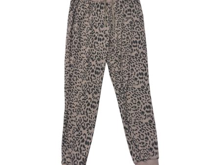 Pants Other By Zara In Animal Print, Size: 2 Online Hot Sale