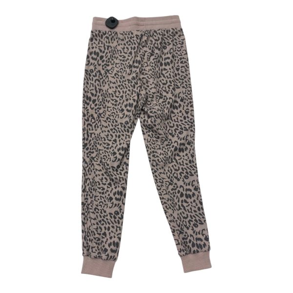 Pants Other By Zara In Animal Print, Size: 2 Online Hot Sale