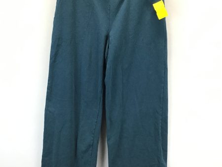 Athletic Pants By Clothes Mentor In Blue, Size: S Online Sale