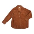 Jacket Shirt By Time And Tru In Brown, Size:Xxl Online now