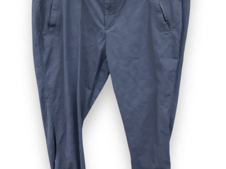 Athletic Pants By Kirkland In Blue, Size: 10 For Discount