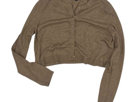 Cardigan By American Eagle In Brown, Size:L Online Hot Sale