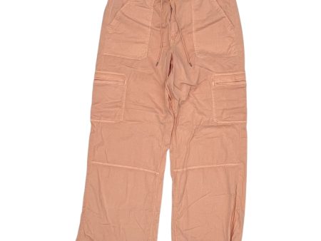 Pants Cargo & Utility By American Eagle In Orange, Size:16 Discount