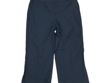 Athletic Pants By Old Navy In Navy, Size:2X For Discount