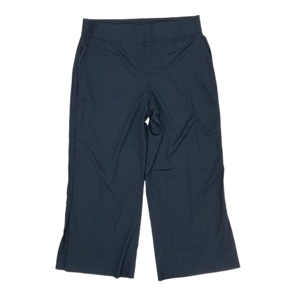 Athletic Pants By Old Navy In Navy, Size:2X For Discount