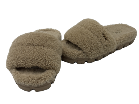 UGG Cozetta Curly Slippers   Shoes Designer, Size: 7 For Discount